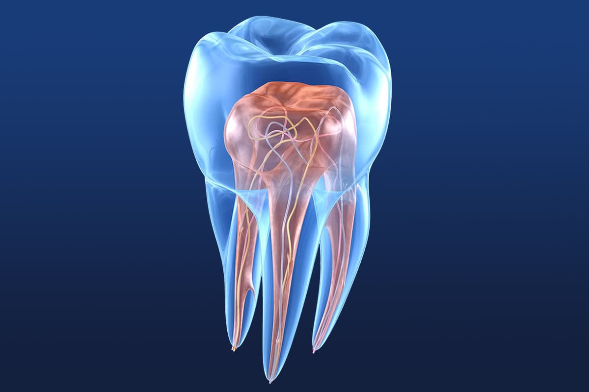 Endodonzia Dentista Ramella Milano
